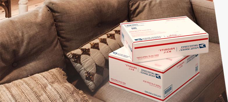 Two Priority Mail<sup>®</sup> boxes sitting on a couch.